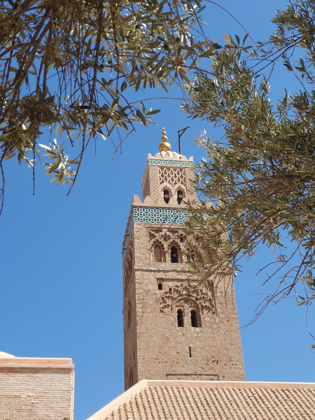 historical-guided-tour (11)