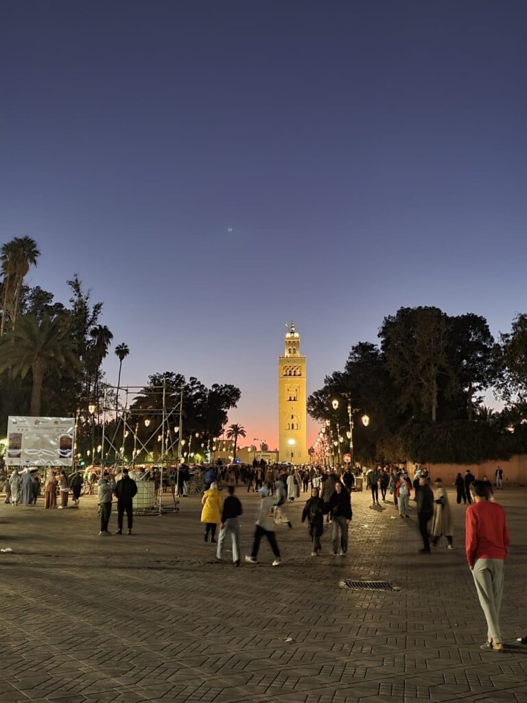 night-tour-guide (2)